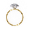 Picture of 1.50 Carat Classic Solitaire And Halo Diamond Ring With Sleek Band (1.68 CTW Diamonds)