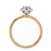 Picture of 1.10 carat Pear Solitaire Diamond Ring, Featuring A Halo Design.(1.35 CTW Diamonds)