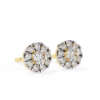 Picture of Simple yet Stylish Round Cut Lab Grown Diamond stud Earring.