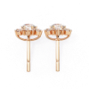 Picture of 0.70 Carat Round Cut Flower Earrings.