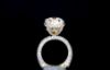 Picture of 7 Carat Oval Solitaire Ring With A Finely Detailed Pave Setting. (9.50CTW Diamonds)