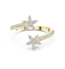 Picture of Floral Whirl – Open Flower Diamond Band.