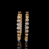 Picture of The Celestia 11.50 Carat Diamond Hoops Earrings